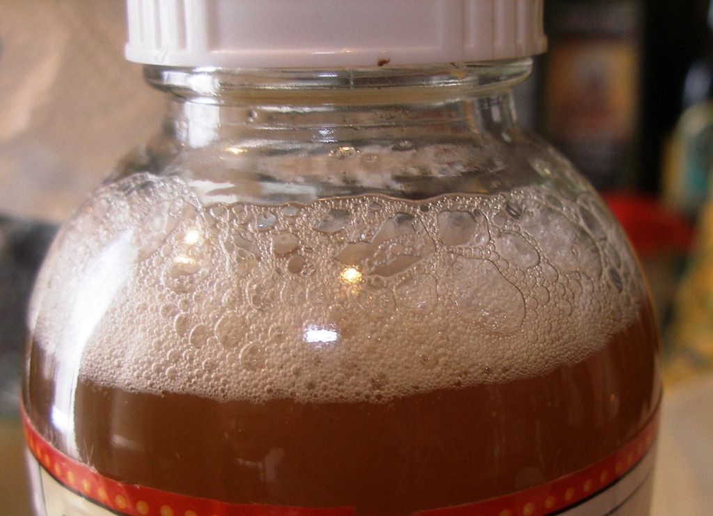 [fizzy booch[9].jpg&description=Year of Health & Healing')]