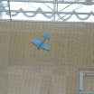 DSC01567.jpg