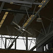 DSC01556.jpg