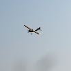IMGP1089.jpg