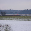 IMGP0394.JPG