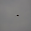 IMGP0361.JPG