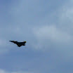 k-P1110177.JPG