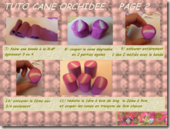 TUTO CANE ORCHIDEE PAGE 2 TUTO CANE ORCHIDEE PAGE 2