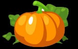 [PetSocietyPumpkin7.jpg]