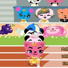 PetSocietyRace