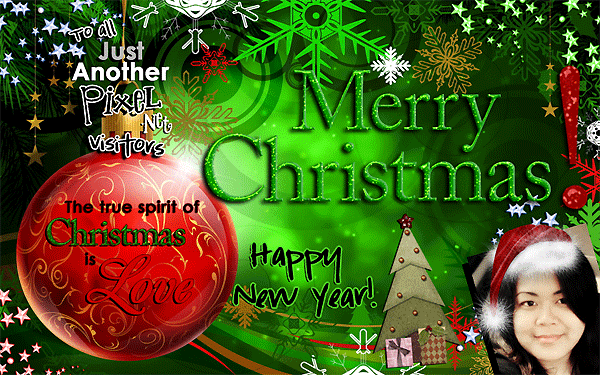 [Xmas2009[5].gif]
