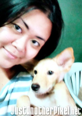 Choco, the naughtiest dog we've ever had! - JustAnotherPixel.net