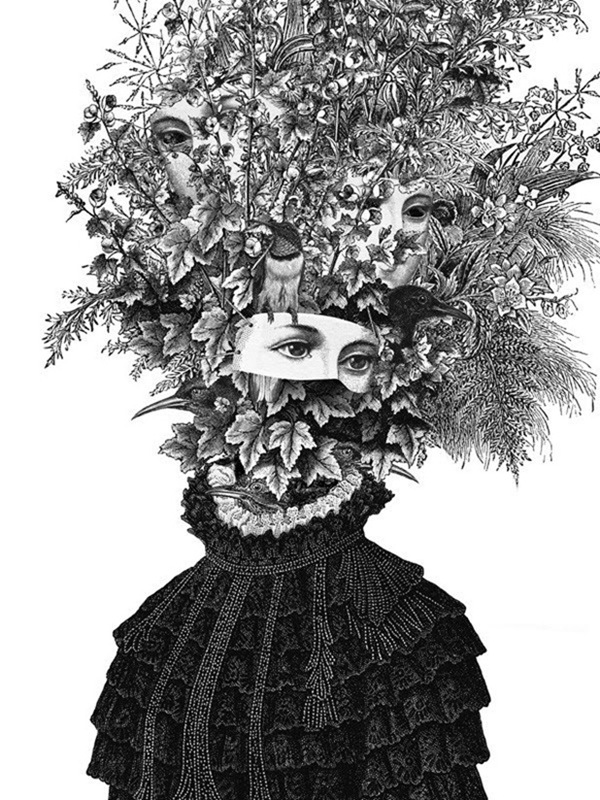 Dan Hillier Update Inag I Need A Guide