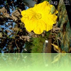 DSC00066 DSC00066