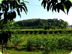 DSC00127 DSC00127