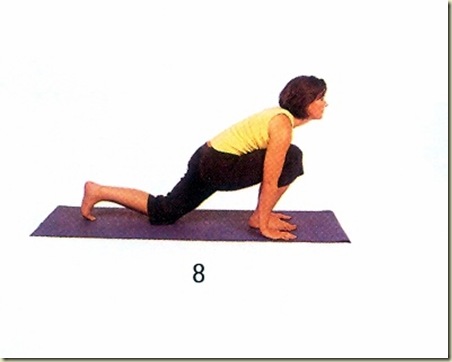 Yoga tipo 9 mudra 8