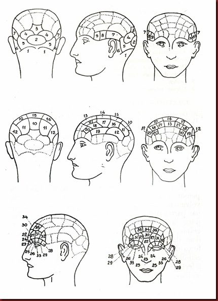 Craniologia Frenologia Craniologia Frenologia
