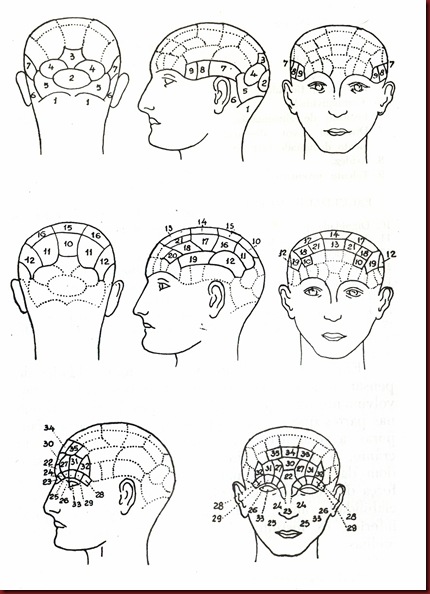 Craniologia Frenologia