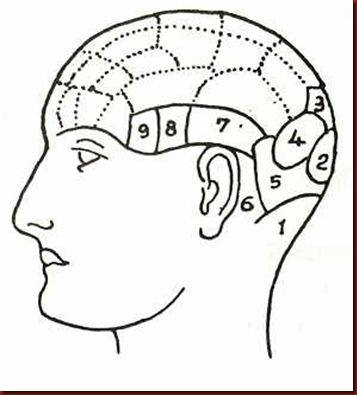 Craniologia 02 Craniologia 02