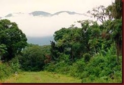 Enem Natureza Brasileira Enem Natureza Brasileira