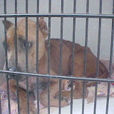 Isabeau Before and After Photos