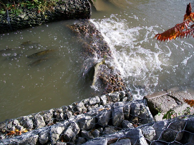 [200905100853.jpg]