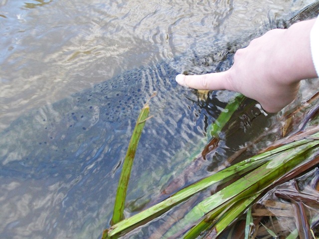 [200905101063.jpg]