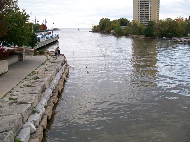 [200905101453.jpg]