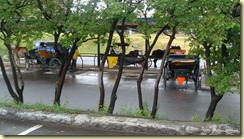 DSC07903