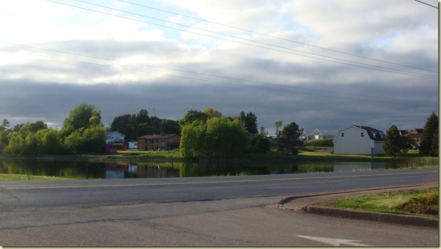 DSC08006