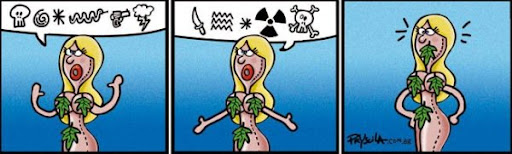 http://lh3.ggpht.com/_bKN77pn74dA/SiG61HYpoFI/AAAAAAAABl8/scgeDAHdUb8/tira%206.jpg