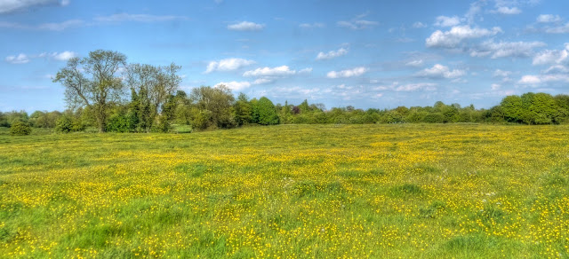 P1100165_59_60_61_62_63_64_tonemapped.jpg