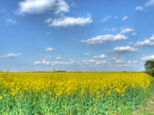 P1100179_3_4_5_6_7_8_tonemapped.jpg