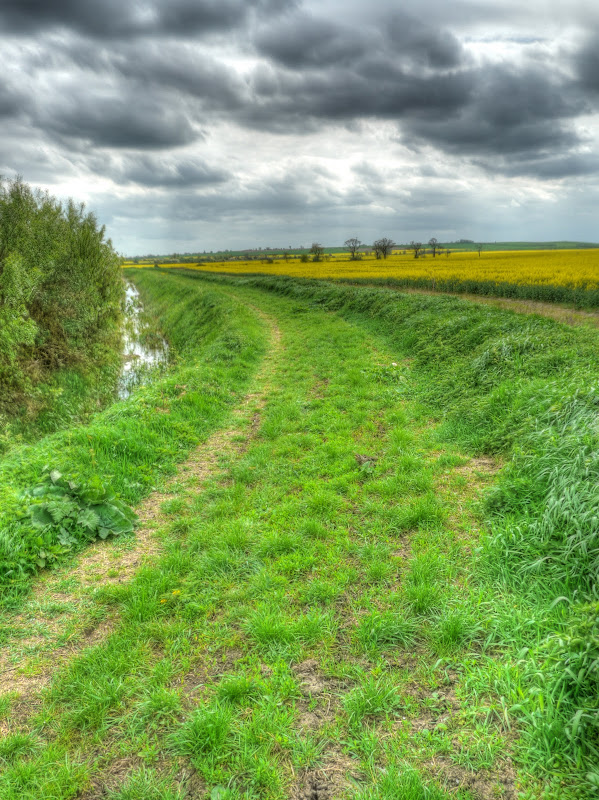 P1090503_497_498_499_500_501_502_tonemapped.jpg