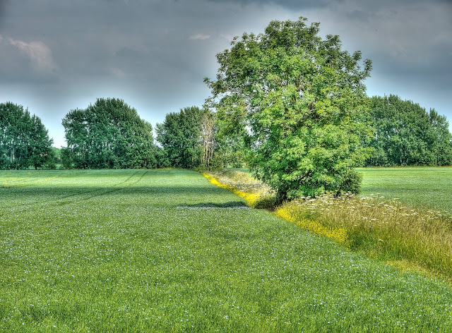 P1130361_55_56_57_58_59_60_tonemapped.jpg