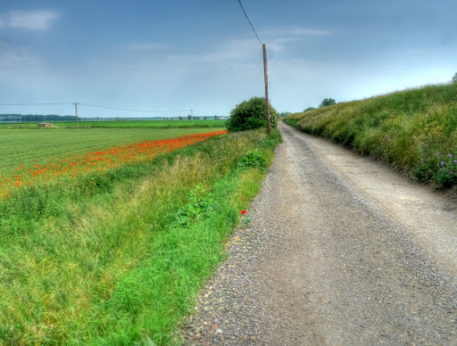 P1130562_56_57_58_59_60_61_tonemapped.JPG