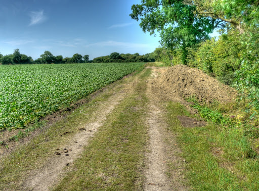 P1130630_1_2_3_4_5_6_tonemapped.JPG