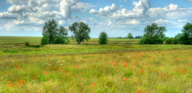 P1130764_58_59_60_61_62_63_tonemapped.jpg