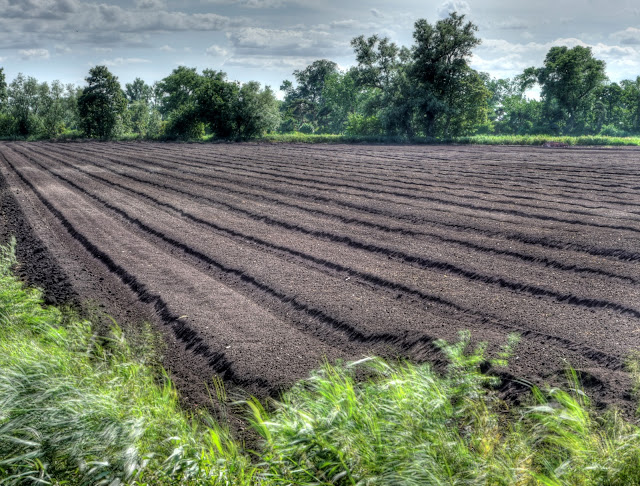 P1140330_24_25_26_27_28_29_tonemapped.jpg