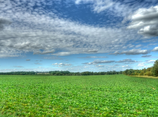 P1160823_17_18_19_20_21_22_tonemapped.jpg