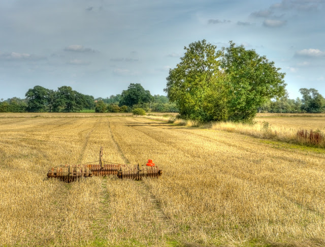 P1170356_0_1_2_3_4_5_tonemapped.jpg