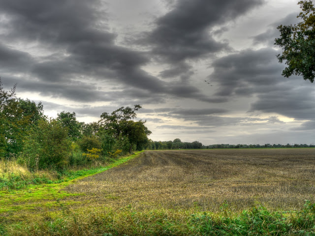 P1190972_3_4_tonemapped.jpg