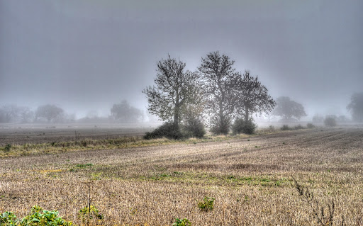 P1210510_1_2_3_4_5_6_tonemapped.JPG