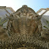 DSCN3690.JPG, Portugal 2007