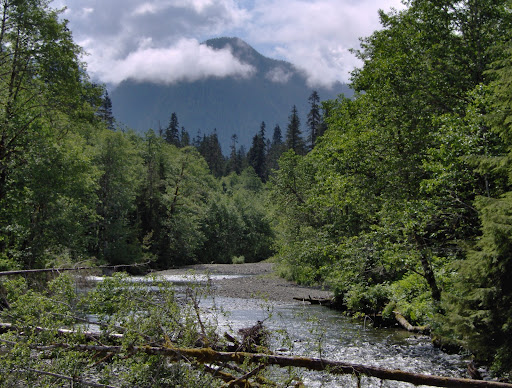River%20close%20to%20campsite.JPG