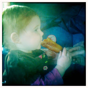 Everly Pronto