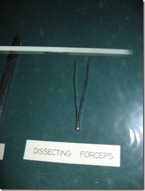 forceps - a very multipupose instrument