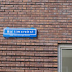 01_GoudenKlinker_13-04-10.JPG