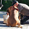 IMG_4479.JPG