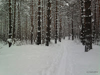 SNC00064.jpg Photo