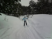 SNC00072.jpg Photo