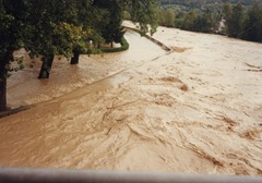 alluvione21 marche
