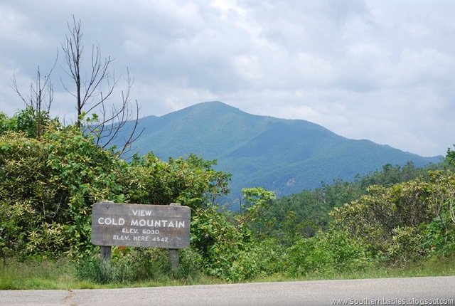 [DSC_09262.jpg]