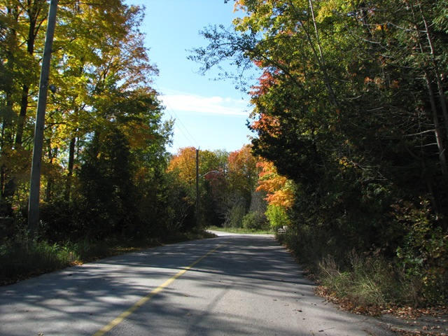 [IMG_15383.jpg]